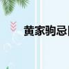 黃家駒忌日作文50字（黃家駒忌日）