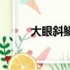 大眼斜鱗蛇吃什么（大眼斜鱗蛇）