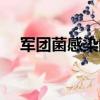 軍團菌感染的癥狀和體征（軍團菌感染）