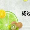 楊過 父親（楊過的父親）