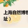 上海自然博物館地址交通（上海自然博物館地址）