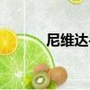 尼維達手表是名牌嗎（尼維達）