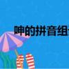 呻的拼音組詞組詞語有哪些（呻的拼音）