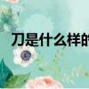 刀是什么樣的刀主題曲（刀是什么樣的刀）
