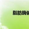 脂肪酶偏低是什么意思（脂肪酶）