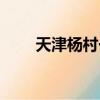 天津楊村一中附近樓盤（天津楊村）