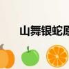 山舞銀蛇原馳蠟象的畫面（山舞銀蛇）