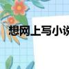 想網上寫小說怎么操作（如何網上寫小說）