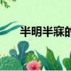 半明半寐的小說《半夏》（半明半寐）