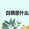 白領是什么職業類別（白領是什么職業）