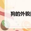 狗的外貌描寫50字（狗的外貌描寫）