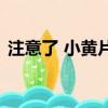 注意了 小黃片看多了小心會讓你有這樣舉動