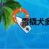 雪橇犬多少錢一只（雪橇犬價格）