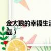 金太狼的幸福生活電影星空（金太狼的幸福生活高清全集下載）