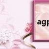 agp顯卡（agp8x顯卡）