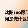 沈陽seo顧問是做什么的啊知乎（沈陽seo顧問是做什么的啊）