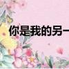 你是我的另一半下一句（你是我的另一半）