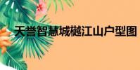 天譽智慧城樾江山戶型圖(天譽智慧城)