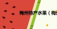 梅州特產水果(梅州特產)