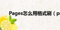 Pages怎么用格式刷(pages怎么用)