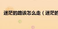 迷茫的路該怎么走(迷茫的人生該怎么走)