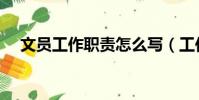 文員工作職責怎么寫(工作職責怎么寫)