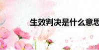 生效判決是什么意思(生效)