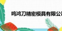 鳴鴻刀精密模具有限公司(鳴鴻刀)
