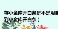 存小金庫開白條是不是用自己的錢(存100元到小金庫開白條)