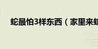 蛇最怕3樣東西(家里來蛇好不好 風水)