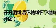 開開團蹲活孕糖蹲懷孕糖蹲懷孕糖蹲懷孕(開開團)