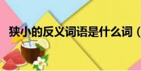 狹小的反義詞語是什么詞(狹小的反義詞)