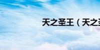 天之圣王(天之圣尊)