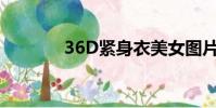 36D緊身衣美女圖片(36dj)