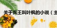 關于兵王叫葉楓的小說(主角叫葉楓的兵王小說)