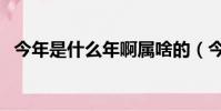 今年是什么年啊屬啥的(今年是什么年啊)