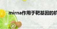 mirna作用于靶基因的機制(mirna)