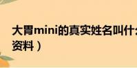 大胃mini的真實姓名叫什么(大胃mini個人資料)