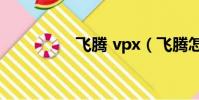 飛騰 vpx(飛騰怎么樣)