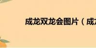 成龍雙龍會圖片(成龍雙龍會)