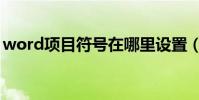 word項目符號在哪里設置(word項目符號)