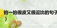 拍一拍很皮又很逗比的句子(微信拍一拍金句)
