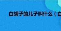 白胡子的兒子叫什么(白胡子的兒子)