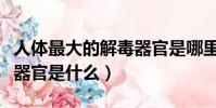 人體最大的解毒器官是哪里(人體最大的解毒器官是什么)
