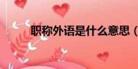 職稱外語是什么意思(職稱外語)