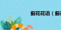 薊花花語(薊花)
