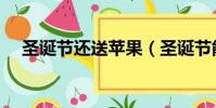圣誕節還送蘋果(圣誕節能不能送蘋果)