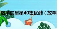 放羊的星星40集優酷(放羊的星星全集優酷)