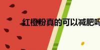 紅橙粉真的可以減肥嗎(紅橙粉)