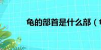 龜的部首是什么部(龜的部首)